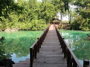 Potret Cantiknya Kakaban, Danau dengan Sejuta Ubur-ubur Tak Menyengat
