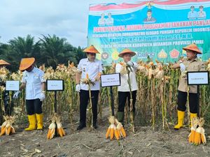 Panen Jagung di Jambi, Zulhas Tegaskan Komitmen Swasembada Pangan