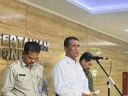 Mentan Ungkap Dua Perusahaan yang Bikin Harga Minyakita Mahal