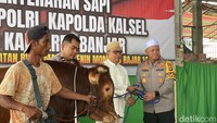 Kapolri Sumbang Sapi Limosin untuk Acara 5 Rajab di Kalsel