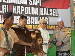 Kapolri Sumbang Sapi Limosin untuk Acara 5 Rajab di Kalsel