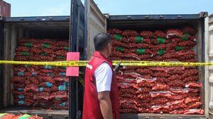 Penyelundupan Bawang Bombay Ilegal 72 Ton Digagalkan di Tanjung Perak