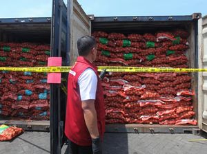 Terbongkarnya Penyelundupan Bawang Bombay Berkedok Cangkang Sawit