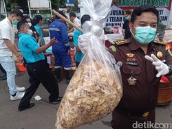 Penampakan 5 Kg Keripik Pisang Narkoba yang Dimusnahkan Kejari Bogor