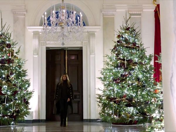 Dekor Natal Gedung Putih Dipuji tapi Juga Disentil Netizen