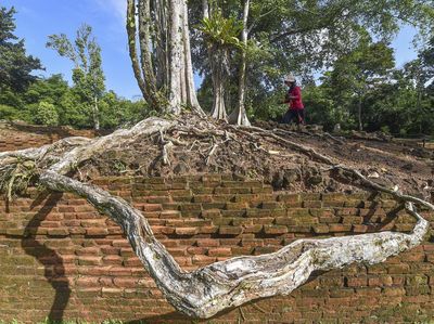 Pemugaran Situs KCBN Muarajambi Terus Dipercepat