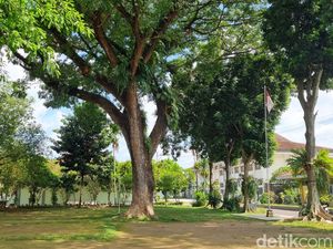 Viral Murid SMSR Jogja Pasang Poster Tolak Penebangan Pohon di Sekolah