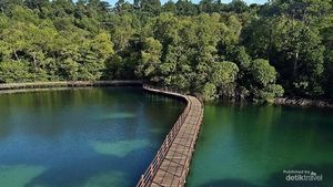 Pemandangan Menakjubkan dari Menara Pandang Danau Kakaban