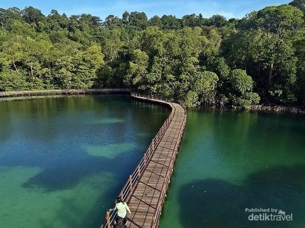 Pemandangan Menakjubkan dari Menara Pandang Danau Kakaban
