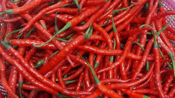 Warga Bantu Warga! Netizen Jakarta Senang Bisa Beli Cabe Takengon Aceh