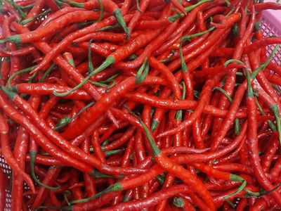 Warga Bantu Warga! Netizen Jakarta Senang Bisa Beli Cabe Takengon Aceh