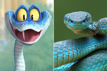 Ular Blue Pit Viper: Fakta & Viral Zootopia