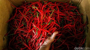 Harga Cabai Merah Naik di Sumut, Nias Tertinggi Rp 40 Ribu/Kg