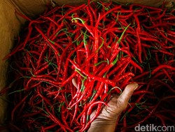 Harga Cabai Merah di Sumut Makin Merosot, Humbahas Cuma Jual Rp 18 Ribu/Kg