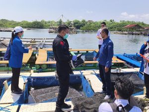 KKP Pastikan Produk Perikanan Bebas Radioaktif Jelang Nataru