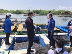 KKP Pastikan Produk Perikanan Bebas Radioaktif Jelang Nataru