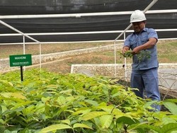 Merawat Warisan Alam Sumatera di Tengah Tantangan Bencana