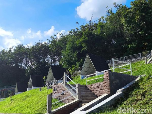 Pesona Tebing Batu dan Hutan Pinus Woodlands Kuningan di Musim Liburan