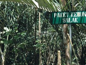 Rekomendasi Empat Agrowisata di Bali