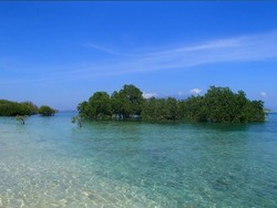 Serasa di Benua Afrika, Ini Daya Tarik Namu Beach di Sumbawa Barat