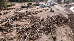 Pascabencana, Sampah Kayu Jadi Material Pemulihan Wilayah Terdampak