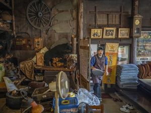 Populasi Beruang Meledak, Kini Diburu Jadi Santapan di Jepang