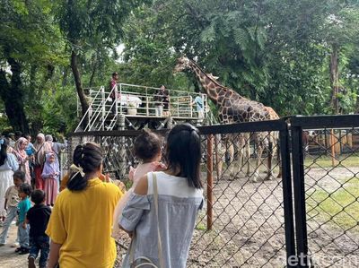 KBS Diserbu 15 Ribu Wisatawan saat Libur Natal