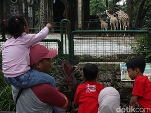 Tiket Murah Jadi Daya Tarik, Ragunan Ramai Saat Libur Nataru