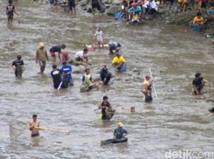 Asatan Bendungan Sampean Baru, Warga Berburu Ikan Saat Debit Air Turun