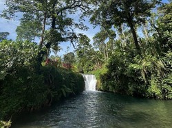 Menjelajah Tibuan Wanagiri, Air Terjun Alami dan Spot Camping di Bali Utara