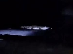 Viral Video Buaya Muncul di Pantai Malang, Polisi Minta Warga Lapor