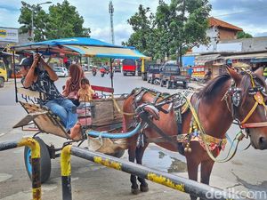 Cegah Macet di Ciwidey dan Pangalengan, Delman Dilarang Beroperasi