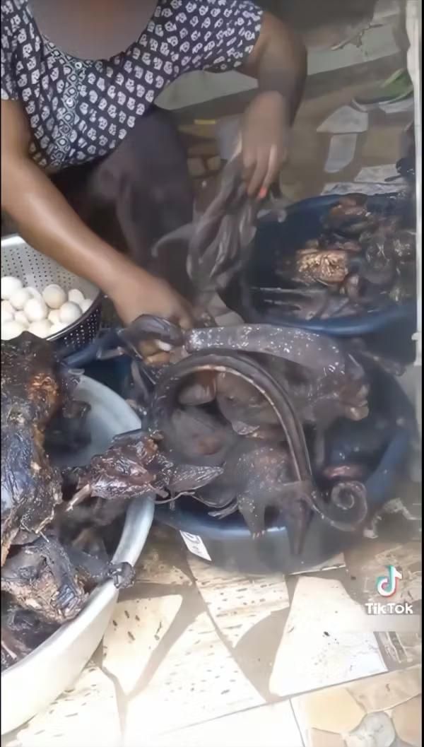 Duh! Kini TikTok Jadi Tempat Promosi Daging Satwa Langka untuk Dimakan