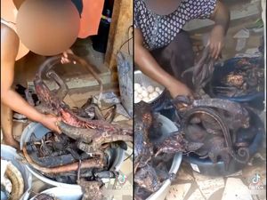 Duh! Kini TikTok Jadi Tempat Promosi Daging Satwa Langka untuk Dimakan