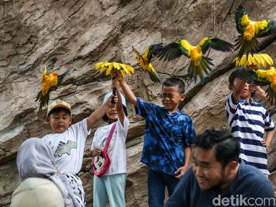 Libur Panjang Natal, Wisata Edukasi Burung Diserbu Pengunjung