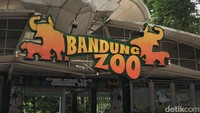 Farhan Enggan Buru-buru Tentukan Nasib Bandung Zoo
