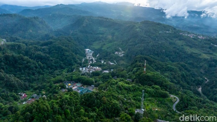 Jejak Konservasi MIND ID Merawat Keanekaragaman Hayati