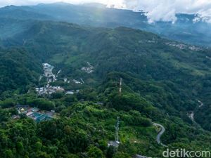 Jejak Konservasi MIND ID Merawat Keanekaragaman Hayati