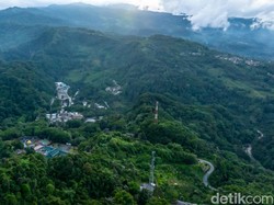 Jejak Konservasi MIND ID Merawat Keanekaragaman Hayati