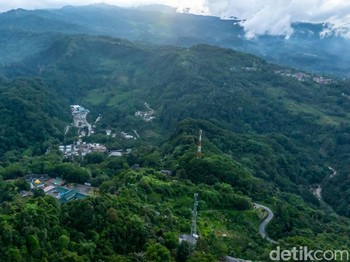 Jejak Konservasi MIND ID Merawat Keanekaragaman Hayati