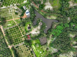 Strategi MIND ID Rehabilitasi Lahan Bekas Tambang di Bangka Belitung