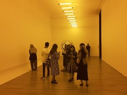 Libur Nataru, Saatnya Melihat Dunia dengan Perspektif Berbeda di Museum Macan