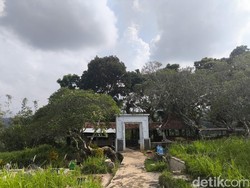 Mengenal Sosok Eyang Hasan Maolani yang Diajukan Jadi Pahlawan Nasional