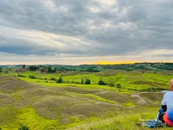 Menikmati Keindahan Savana Bukit Punggung Kuda di Bombana