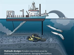 Penambangan Tak Hanya di Darat tapi Kini di Laut, Studi Ungkap Dampak Ngerinya