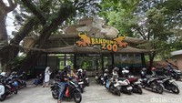 Sudah Ada Pengelola Baru, Kapan Bandung Zoo Buka Lagi?