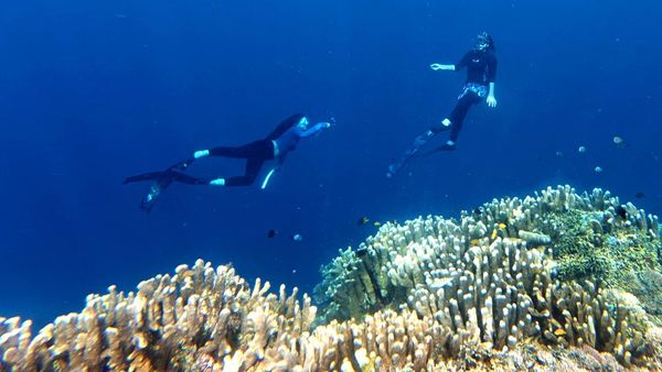 Oluhuta Paradise Kebanjiran Pengunjung di Musim Libur