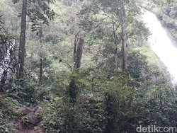 Lutut Lemas Terbayar Lunas oleh Pesona Curug Sabuk Kareumbi