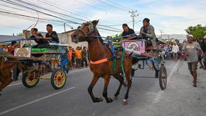 Aksi Pacu Dokar Meriahkan Akhir Tahun di Palu