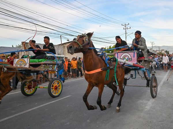 Aksi Pacu Dokar Meriahkan Akhir Tahun di Palu